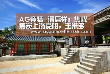 AG电竞